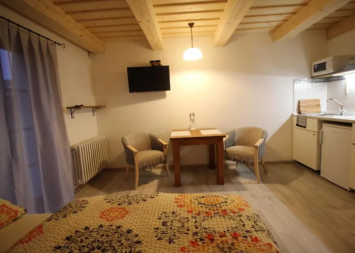 Lejlighedshotel U Knajflu 3*